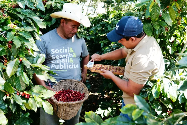 Beneficio de Café Montecristo (1)