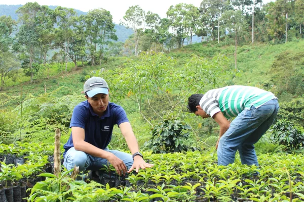 Caravela Coffe Nicaragua (1)